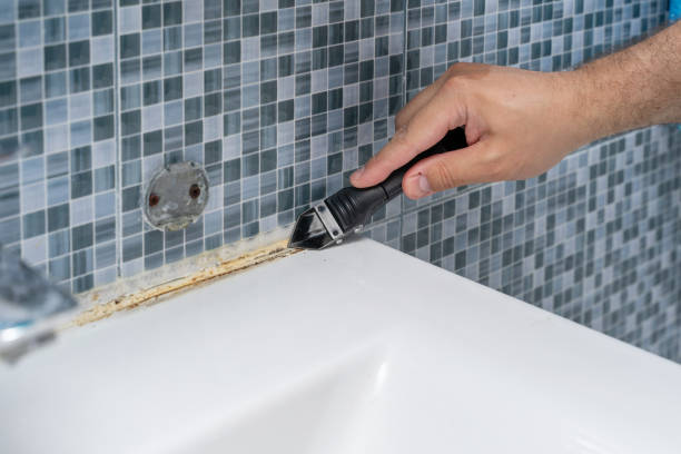 Best Mold Testing  in Clayton, GA