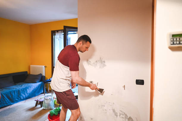 Best Commercial Mold Removal  in Clayton, GA